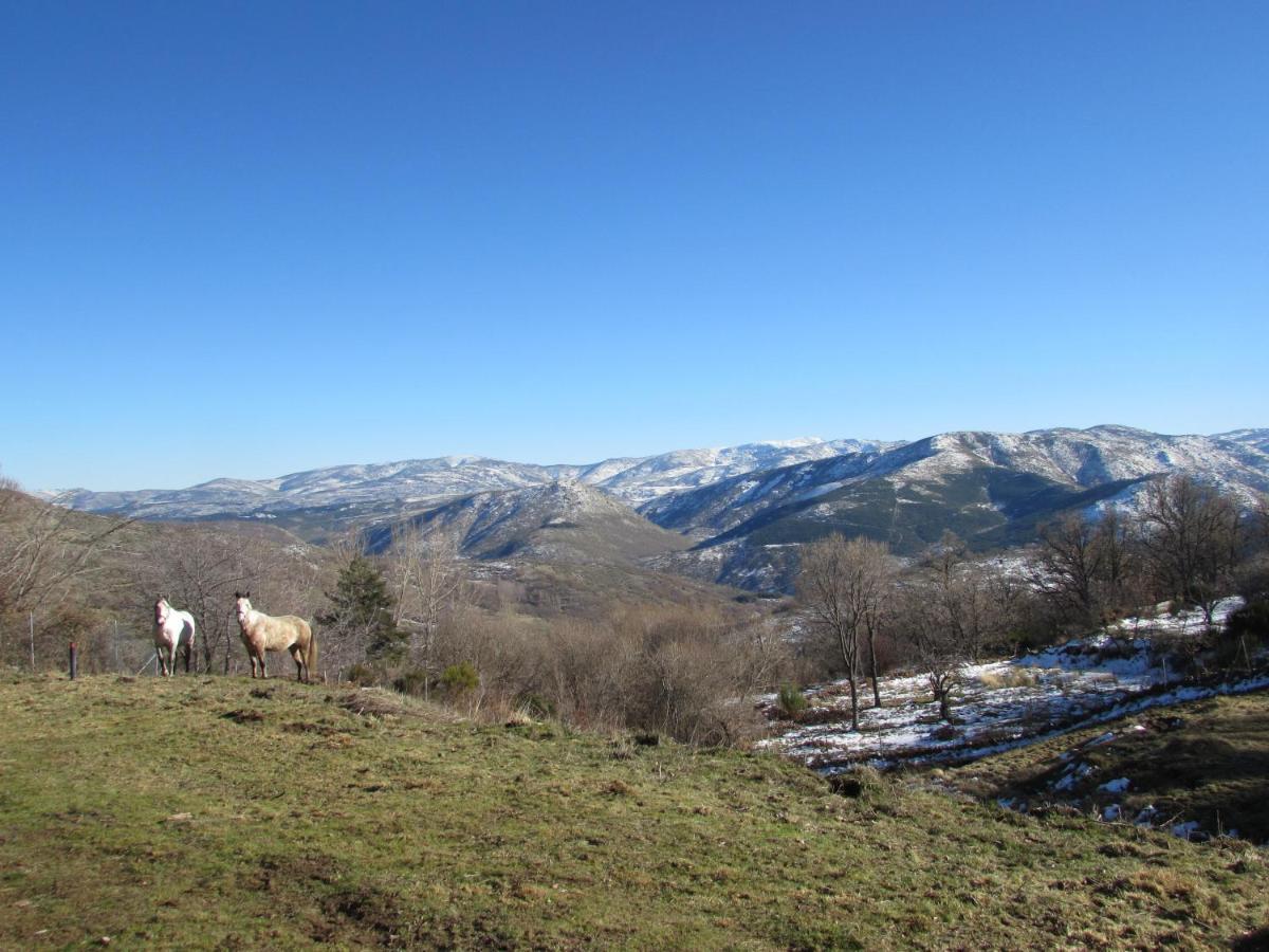 Atardecer En Gredos 1 Villa San Bartolomé de Tormes Екстериор снимка